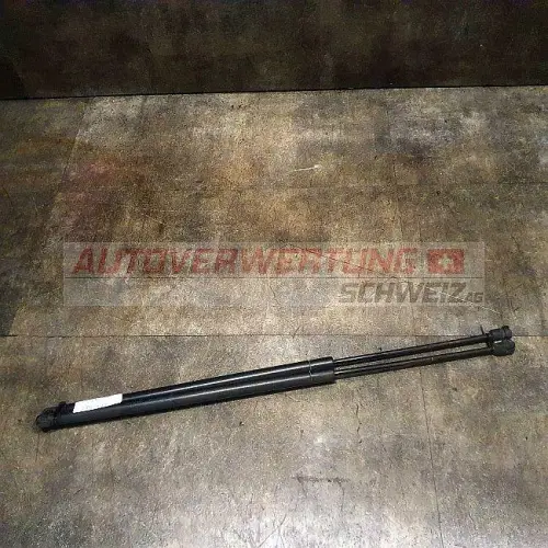 Heckklappendämpfer Ford Fiesta ST150