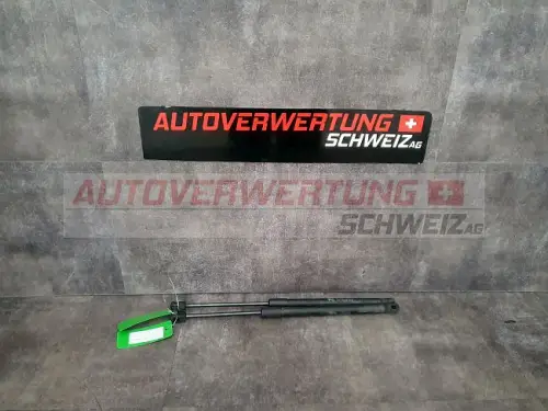Heckklappen Dämpfer Chevrolet Captiva 2.4L