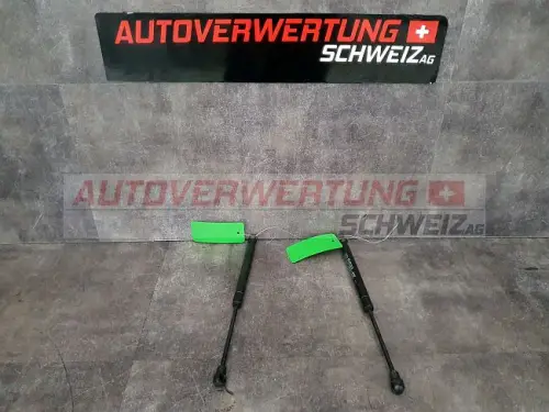 Heckscheiben Dämpfer Chevrolet Captiva 2.4L