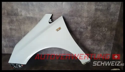 Kotflügel links Opel Corsa D