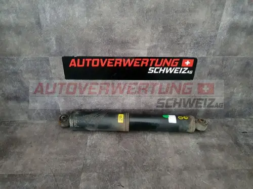 Stossdämpfer Hinten Chevrolet Captiva 2.4L
