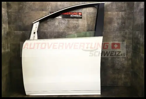 Türe vorne links Seat Alhambra