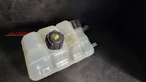 217104048R Kühlwasserbehälter Renault Megane 4