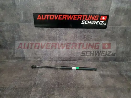Heckklappendämpfer VW Passat 3.2L
