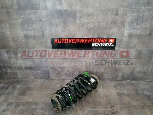 Federn Hinten VW Touran 2.0FSI