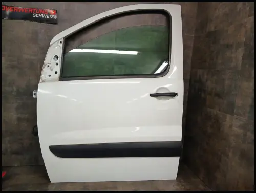 Türe vorne links Peugeot Expert 9002 X4