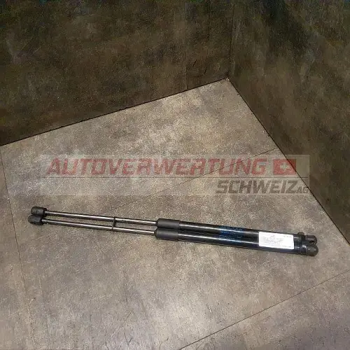 HECKKLAPPENDÄMPFER HINTEN VAG