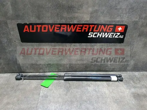 Heckklappendämpfer Ford Fiesta 1.25L