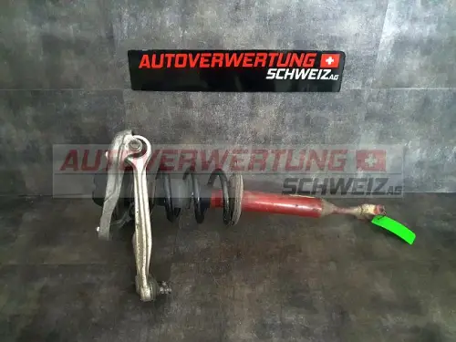 FEDERBEIN VORNE RECHTS AUDI A4 3.0 TDI