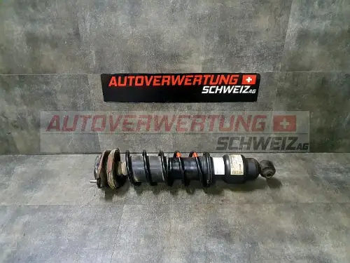 Federbein Hinten Links Subaru Forester 2.0L