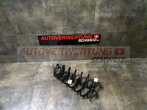 Federn hinten Skoda Fabia Preis pro Stk.