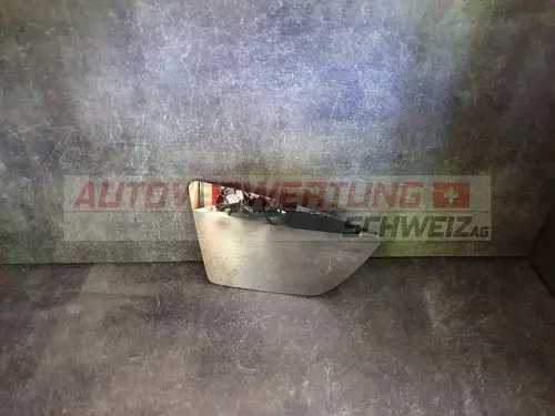 SPIEGELGLAS VORNE RECHTS SEAT LEON ST