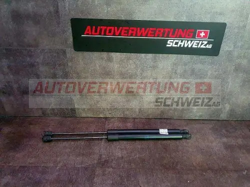 HECKKLAPPENDÄMPFER VW TIGUAN