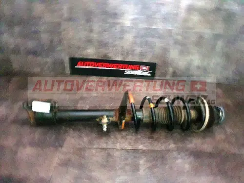 FEDERBEIN HINTEN RECHTS DACIA DUSTER