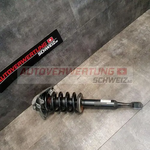 8E0413031DE FEDERBEIN VORNE LINKS AUDI A4 B7