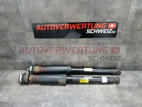 95967520 Stossdämpfer Hinten Chevrolet Spark